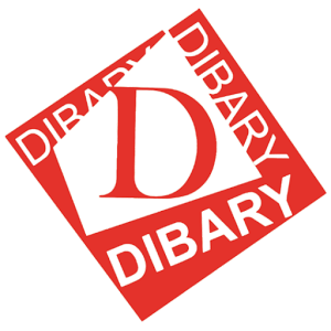 Dibarry Store
