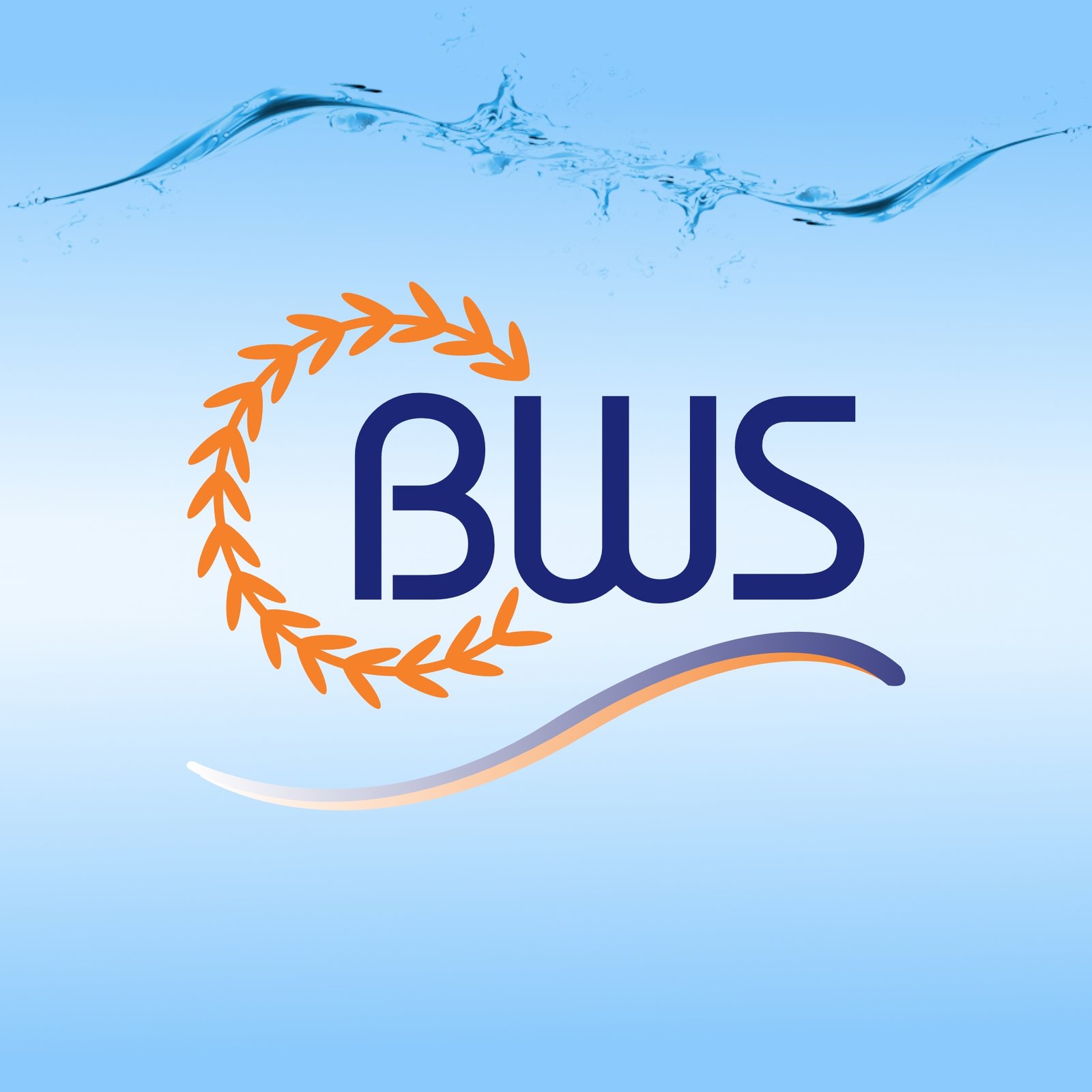 Belize Water Services Ltd.